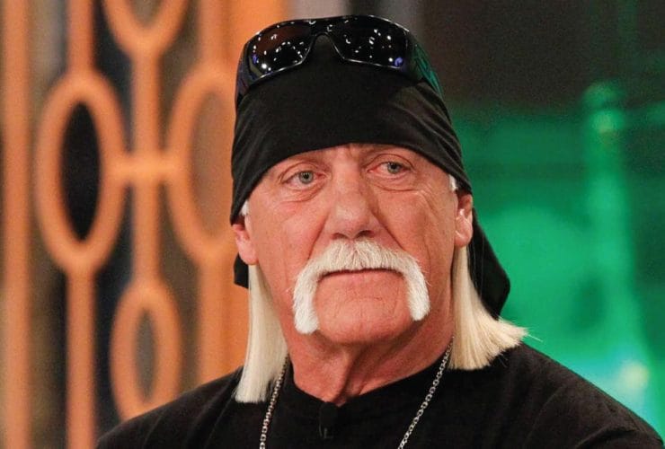 Wrestler Hulk Hogan